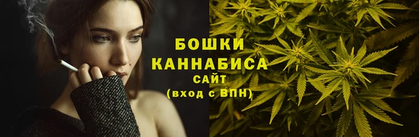 сатива Касимов