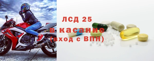 прущие грибы Каменка
